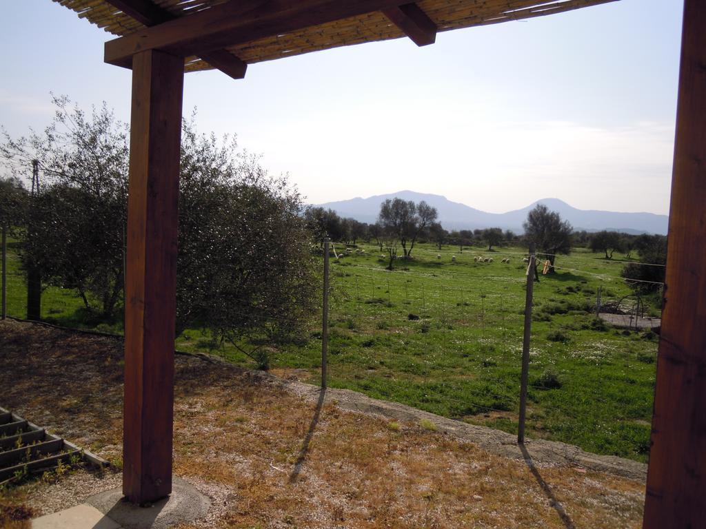 Agriturismo Pira Pinta Доргалі Екстер'єр фото